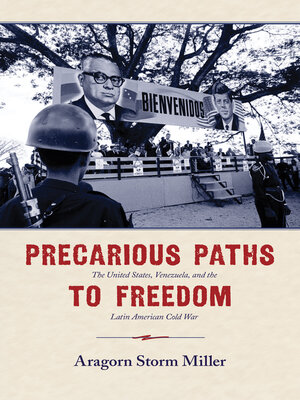 cover image of Precarious Paths to Freedom